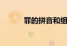 罪的拼音和组词（汉字罪组词）