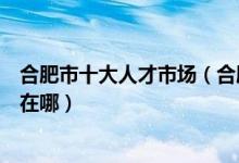 合肥市十大人才市场（合肥人力资源市场合肥正规人才市场在哪）
