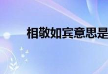相敬如宾意思是（相敬如宾的解释）