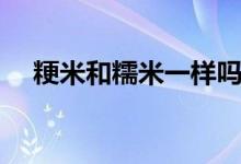 粳米和糯米一样吗（粳米和糯米的区别）