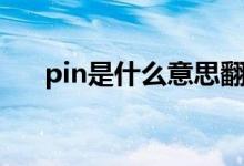 pin是什么意思翻译（pin是什么意思）