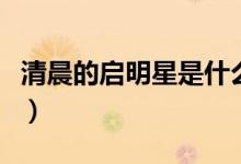清晨的启明星是什么星（清晨的启明星是什么）