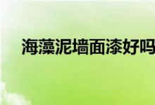 海藻泥墙面漆好吗（优缺点分别是什么）