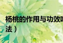 杨桃的作用与功效吃法（杨桃的功效与作用吃法）