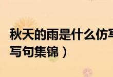 秋天的雨是什么仿写句（秋天的雨是什么的仿写句集锦）