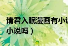 请君入眠漫画有小说吗（请君入眠漫画有同名小说吗）