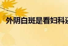 外阴白斑是看妇科还是皮肤科（外阴白斑）