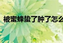 被蜜蜂蛰了肿了怎么办（5种方法快速消肿）