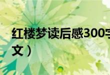 红楼梦读后感300字（红楼梦读后感300字范文）