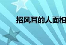招风耳的人面相好不好（命运如何）