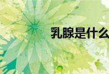 乳腺是什么（你们知道吗）