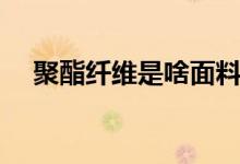 聚酯纤维是啥面料（聚酯纤维是啥面料）