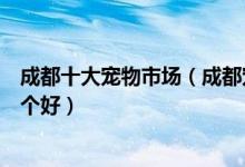 成都十大宠物市场（成都宠物狗市场在哪里成都宠物市场哪个好）