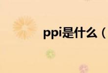 ppi是什么（ppi的简单介绍）