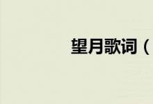 望月歌词（望月歌曲简介）