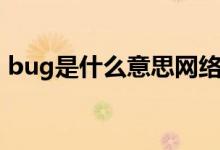 bug是什么意思网络用语（bug是什么意思）