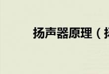 扬声器原理（扬声器怎么运作的）