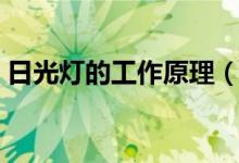 日光灯的工作原理（日光灯和白炽灯的区别）