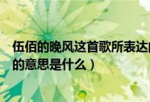 伍佰的晚风这首歌所表达的意思（伍佰的晚风这首歌所表达的意思是什么）