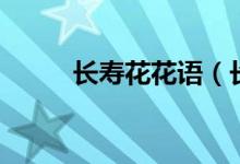 长寿花花语（长寿花花语是什么）