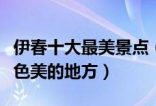 伊春十大最美景点（伊春最美旅游景点伊春景色美的地方）