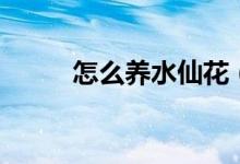 怎么养水仙花（养水仙花的方法）