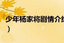 少年杨家将剧情介绍（电视剧少年杨家将简介）