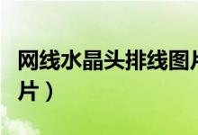 网线水晶头排线图片简单（网线水晶头排线图片）