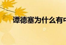 谭德塞为什么有中文名（谭德赛简介）