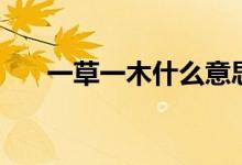 一草一木什么意思（一草一木的意思）