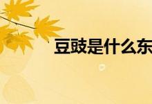 豆豉是什么东西（什么是豆豉）