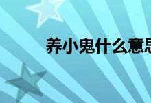 养小鬼什么意思（养小鬼的意思）