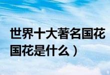 世界十大著名国花（各国国花及寓意一览中国国花是什么）