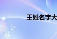 王姓名字大全（王姓名字）
