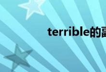 terrible的副词（terrible）