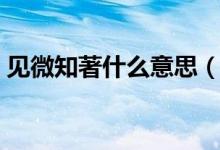 见微知著什么意思（成语见微知著什么意思）