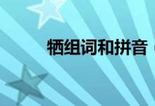 牺组词和拼音（牺的组词是什么）