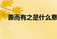 兼而有之是什么意思（什么是兼而有之）