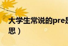 大学生常说的pre是什么（常说的pre什么意思）
