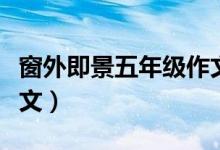 窗外即景五年级作文（窗外即景五年级作文范文）