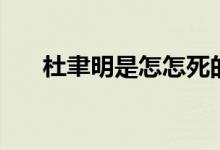 杜聿明是怎怎死的（杜聿明个人简介）