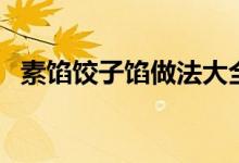 素馅饺子馅做法大全（素馅饺子馅的做法）