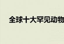 全球十大罕见动物（全球十大罕见动物）