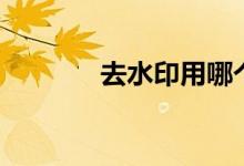 去水印用哪个软件（去水印）