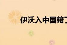 伊沃入中国籍了吗（你认识他吗）