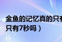 金鱼的记忆真的只有七秒钟（金鱼的记忆真的只有7秒吗）