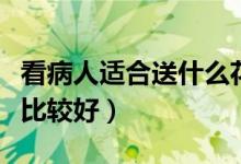 看病人适合送什么花（探望病人应该送什么花比较好）