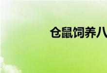 仓鼠饲养八大禁忌（仓鼠）