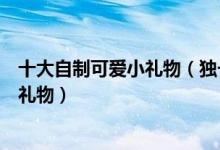 十大自制可爱小礼物（独一无二亲手做的礼物超简单手工小礼物）