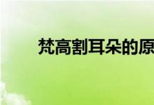 梵高割耳朵的原因（梵高个人简介）